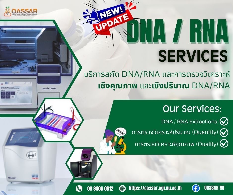 บริการสกัดและตรวจวิเคราะห์ DNA / RNA ด้วยเครื่องสกัดสารพันธุกรรมชนิดอัตโนมัติ