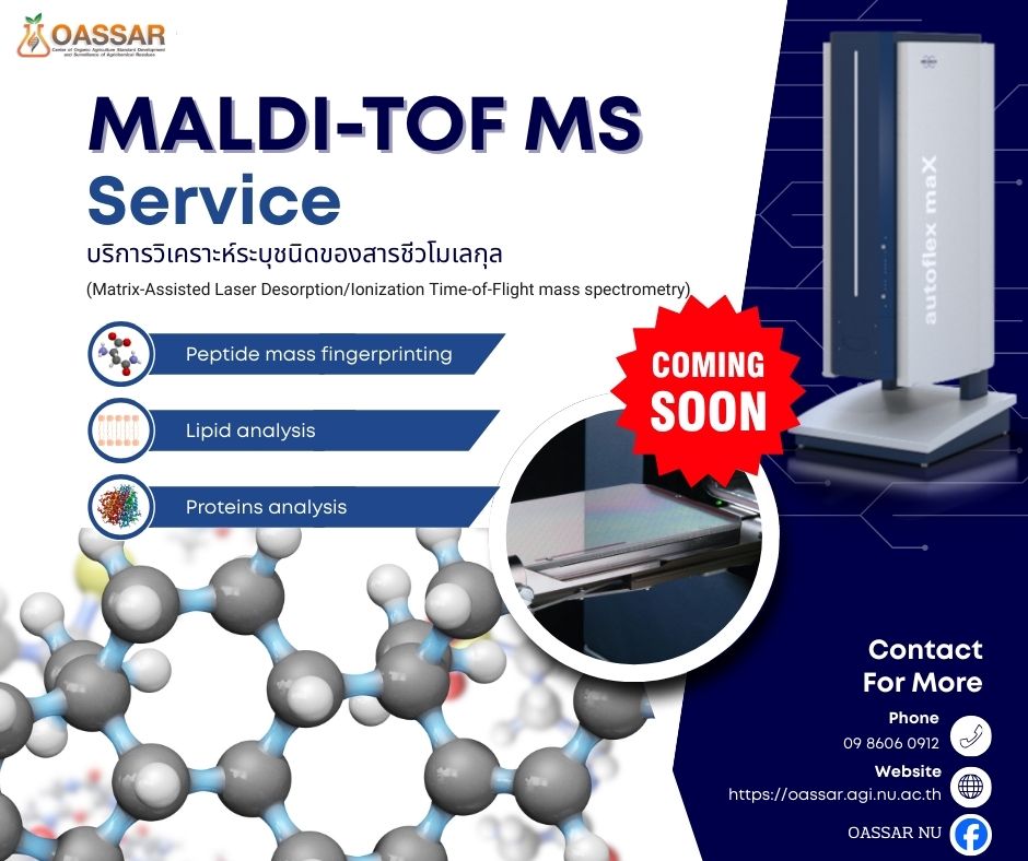 จำแนกชนิดของจุลินทรีย์และการระบุชนิดของสารชีวโมเลกุลด้วย MALDI-TOF MS 📚