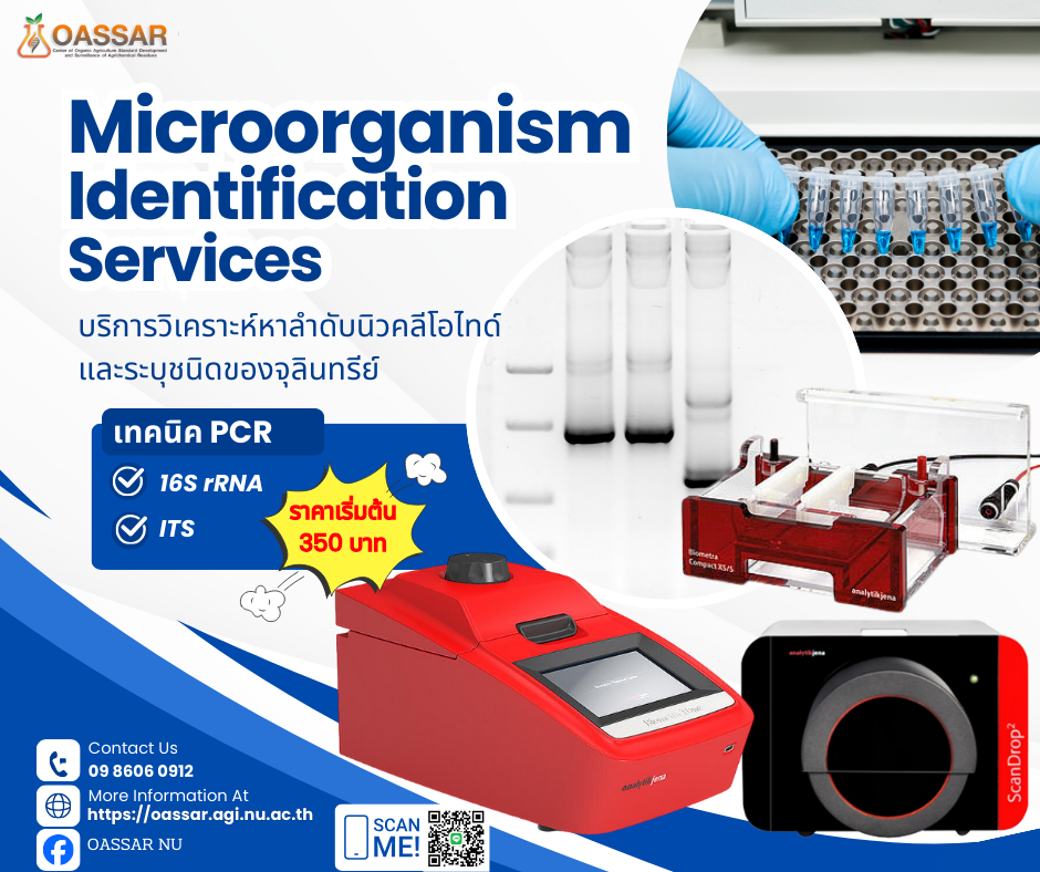 บริการตรวจหาลำดับนิวคลีโอไทด์และระบุชนิดจุลินทรีย์ด้วยเทคนิค PCR