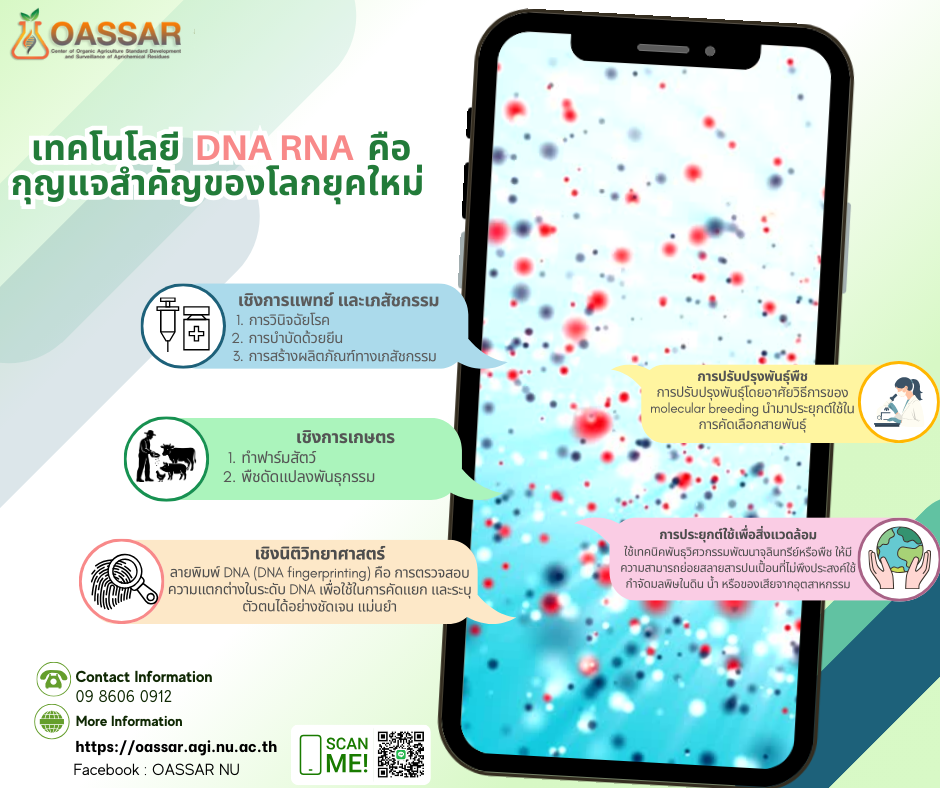 การสกัด DNA และ RNA 🧬