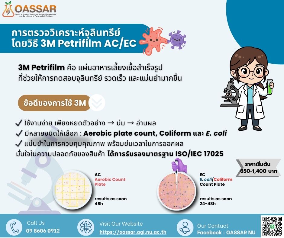 file_6971acbeb9f68_4jpg.jpg